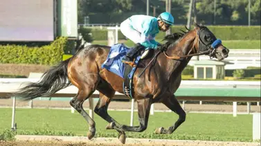 Emisael Jaramillo no montará este domingo en Santa Anita Park por este motivo Emisael Jaramillo no montará este domingo en Santa Anita Park por este motivo