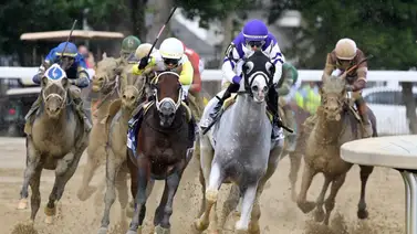 La controversia del "Emperador": El Jockey Club se pronuncia tras guerra en redes por el nombre de un caballo La controversia del "Emperador": El Jockey Club se pronuncia tras guerra en redes por el nombre de un caballo