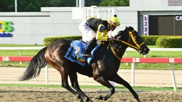 Numerología: Entérate de la yegua que busca desafiar al "maleficio del 13" en el 5y6 de la R13 Numerología: Entérate de la yegua que busca desafiar al "maleficio del 13" en el 5y6 de la R13