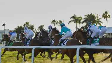 Velociraptor vuelve a la acción en Gulfstream Park: ¿Podrá el favorito de Mark Casse cumplir tras 237 días sin correr? Velociraptor vuelve a la acción en Gulfstream Park: ¿Podrá el favorito de Mark Casse cumplir tras 237 días sin correr?