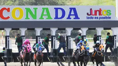 La Rinconada 2026: ¿Feedstock superará un reto histórico en la segunda válida para el 5y6 dominical? Aquí te lo contamos La Rinconada 2026: ¿Feedstock superará un reto histórico en la segunda válida para el 5y6 dominical? Aquí te lo contamos