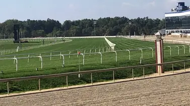 ¿Vale la pena? El alto costo de estacionar tu vehículo el fin de semana del Preakness Stakes en Laurel Park ¿Vale la pena? El alto costo de estacionar tu vehículo el fin de semana del Preakness Stakes en Laurel Park