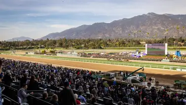 ¡Toma nota de los datos! Meridiano te informa con la Previa Hípica para Gulfstream Park y Santa Anita ¡Toma nota de los datos! Meridiano te informa con la Previa Hípica para Gulfstream Park y Santa Anita