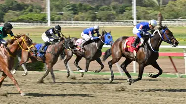 ¿Quieres ganar el 5y6? Conoce el "dato indescartable" para blindar tu cuadro en la cuarta válida dominical ¿Quieres ganar el 5y6? Conoce el "dato indescartable" para blindar tu cuadro en la cuarta válida dominical