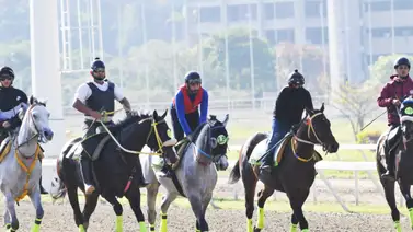 Entérate de los ejemplares retirados de la reunión 13 en La Rinconada 22-03-2026 Entérate de los ejemplares retirados de la reunión 13 en La Rinconada 22-03-2026