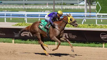 Javier Castellano reescribe su historia en el turf hípico por este acontecimiento que no sucedía desde hace tres años en Estados Unidos Javier Castellano reescribe su historia en el turf hípico por este acontecimiento que no sucedía desde hace tres años en Estados Unidos