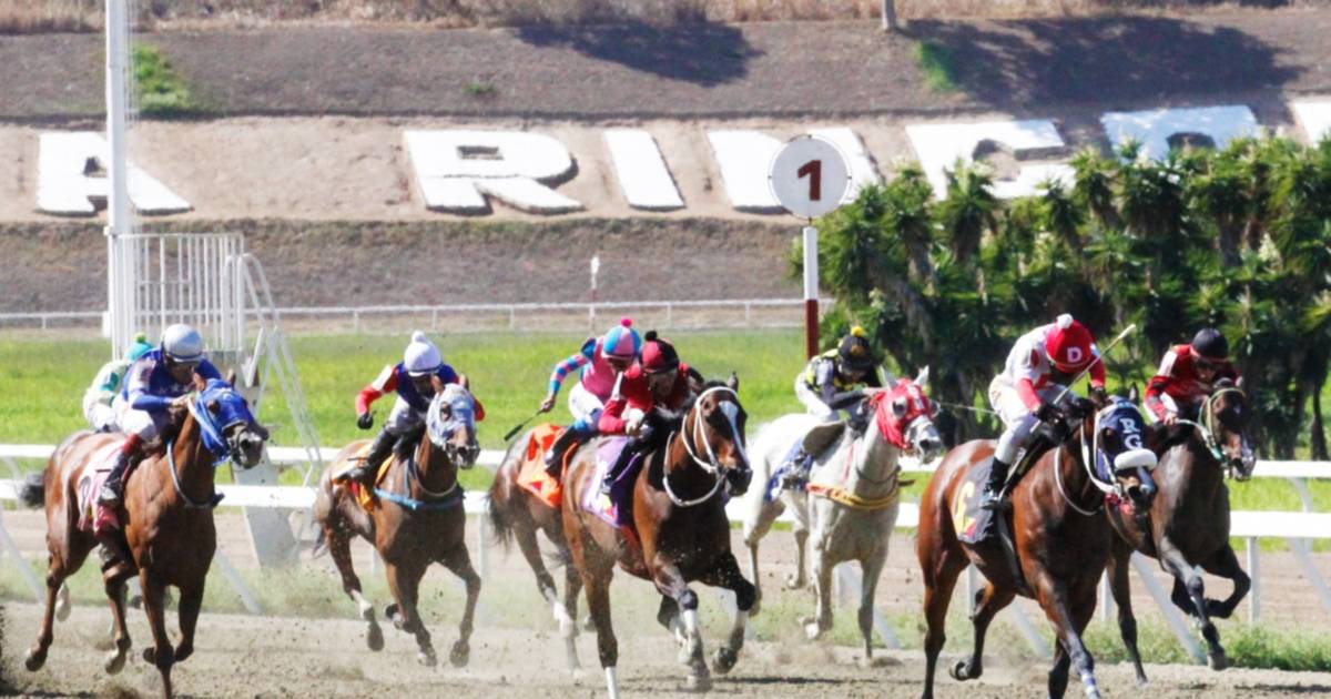La Rinconada Explota en Premios Millonarios: ¡Un Domingo de Emoción Hípica!