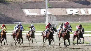 Multado entrenador en la Rinconada por este motivo en la primera válida Multado entrenador en la Rinconada por este motivo en la primera válida
