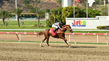 El fin de una sequía: Conozca el tiempo que tenía Carlos Brito sin ganar en La Rinconada El fin de una sequía: Conozca el tiempo que tenía Carlos Brito sin ganar en La Rinconada