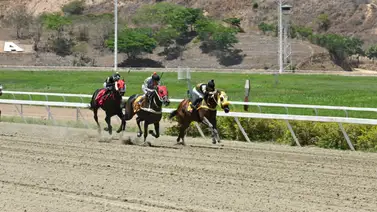 Esto fue lo que informó el jockey de Look at Daddy a los comisarios de La Rinconada Esto fue lo que informó el jockey de Look at Daddy a los comisarios de La Rinconada