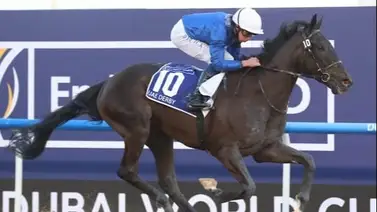 ¡Oficial! Rebel’s Romance no estará presente en la Dubai Sheema Classic Gr1 por estos detalles ¡Oficial! Rebel’s Romance no estará presente en la Dubai Sheema Classic Gr1 por estos detalles