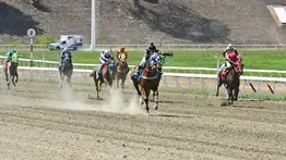 Esto dice el informe del jockey de Emperifollado a los comisarios del INH