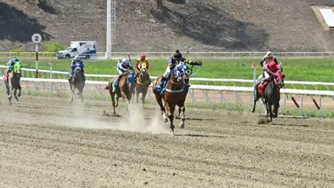 Esto dice el informe del jockey de Emperifollado a los comisarios del INH Esto dice el informe del jockey de Emperifollado a los comisarios del INH