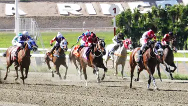 ¡Marzo se despide a todo galope! La Rinconada prepara cartelera de 12 carreras para este domingo ¡Marzo se despide a todo galope! La Rinconada prepara cartelera de 12 carreras para este domingo