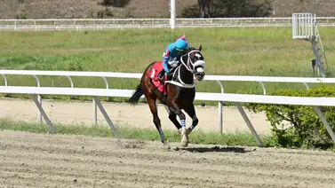 ¡Dice presente! Un viejo conocido vuelve a La Rinconada este domingo ¡Dice presente! Un viejo conocido vuelve a La Rinconada este domingo