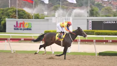 Linaje real: El hermano completo de la estelar Philomena salta a la pista de La Rinconada Linaje real: El hermano completo de la estelar Philomena salta a la pista de La Rinconada