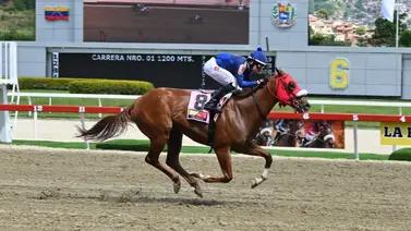 Condición impecable: El aspirante al triunfo que reaparece tras más de un año de descanso Condición impecable: El aspirante al triunfo que reaparece tras más de un año de descanso