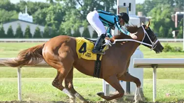 Jinete venezolano llegó a 900 victorias en su carrera profesional en Estados Unidos Jinete venezolano llegó a 900 victorias en su carrera profesional en Estados Unidos