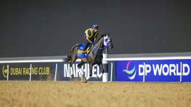 José Francisco D’Angelo desde Meydan habla sobre Bentornato que va en la Dubai Golden Shaheen (G1) José Francisco D’Angelo desde Meydan habla sobre Bentornato que va en la Dubai Golden Shaheen (G1)