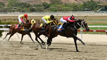 Hijo de Comediante vuelve a la acción: Estrena entrenador y va por el triunfo en La Rinconada Hijo de Comediante vuelve a la acción: Estrena entrenador y va por el triunfo en La Rinconada