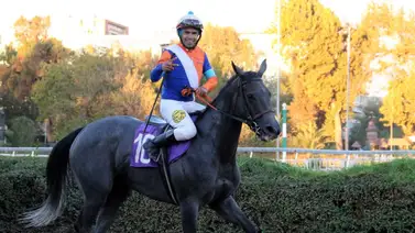¡Poder venezolano en el sur! Jinete Diego Carrasco impone su clase y triunfa el Hándicap en este óvalo de Chile ¡Poder venezolano en el sur! Jinete Diego Carrasco impone su clase y triunfa el Hándicap en este óvalo de Chile