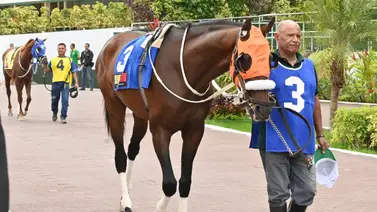 ¡Pura velocidad! Reaparece descansada y por fuera la lógica de la mayoría en La Rinconada ¡Pura velocidad! Reaparece descansada y por fuera la lógica de la mayoría en La Rinconada