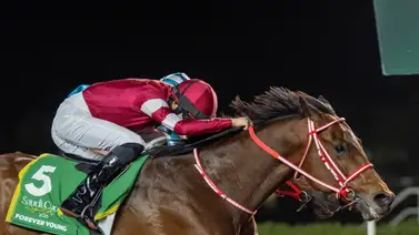 El 30° Aniversario de la Dubai World Cup paraliza el hipismo El 30° Aniversario de la Dubai World Cup paraliza el hipismo