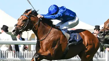 Duelo de Titanes en Meydan: Ombudsman vs Facteur Cheval por el pase a la Breeders’ Cup Duelo de Titanes en Meydan: Ombudsman vs Facteur Cheval por el pase a la Breeders’ Cup