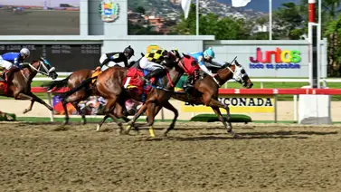 Factor clave en la arena: La mejor actuación de la yegua coincide con su conductor de turno en La Rinconada Factor clave en la arena: La mejor actuación de la yegua coincide con su conductor de turno en La Rinconada