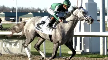 ¡Sin dar ventajas! Fulleffort llega a Churchill Downs para el Kentucky Derby ¡Sin dar ventajas! Fulleffort llega a Churchill Downs para el Kentucky Derby