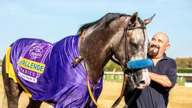 ¡Vaya sorpresa! Napoleon Solo ha sido retirado del Arkansas Derby G1 por estas razones ¡Vaya sorpresa! Napoleon Solo ha sido retirado del Arkansas Derby G1 por estas razones