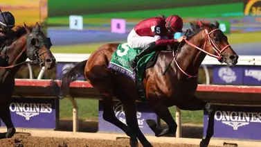 Forever Young sale por el seis: Conoce los puestos de partida de la Dubai World Cup G1 Forever Young sale por el seis: Conoce los puestos de partida de la Dubai World Cup G1