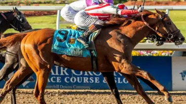 ¿Emerging Market, el ganador del Louisiana Derby G2, logrará romper una racha de 30 años sin que haya un vencedor en el Kentucky Derby G1? ¿Emerging Market, el ganador del Louisiana Derby G2, logrará romper una racha de 30 años sin que haya un vencedor en el Kentucky Derby G1?