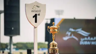 Dubai World Cup 2026: ¿Sabes cuánto dinero se llevará el ganador de la carrera? Dubai World Cup 2026: ¿Sabes cuánto dinero se llevará el ganador de la carrera?