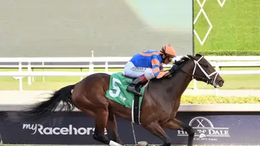 Todd Pletcher piensa en Grande para su sexto triunfo en el Ghostzapper Stakes G3 Todd Pletcher piensa en Grande para su sexto triunfo en el Ghostzapper Stakes G3
