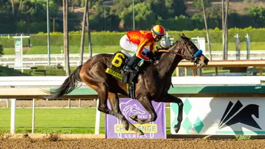 Última Hora: Retiran a Explora del Fantasy Stakes (G2) por esta causa Última Hora: Retiran a Explora del Fantasy Stakes (G2) por esta causa