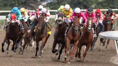 Legendario entrenador que ganó tres veces la Triple Corona anuncia su retiro Legendario entrenador que ganó tres veces la Triple Corona anuncia su retiro