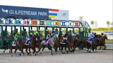 Just Basking vs Doña Clota (CHI) es la revancha en el Orchid Stakes G3 Just Basking vs Doña Clota (CHI) es la revancha en el Orchid Stakes G3