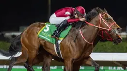 La revancha de Forever Young: El campeón japonés que convierte sus derrotas en leyendas