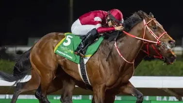 La revancha de Forever Young: El campeón japonés que convierte sus derrotas en leyendas La revancha de Forever Young: El campeón japonés que convierte sus derrotas en leyendas