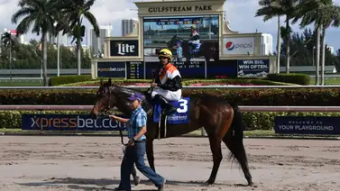 Far Bridge llega a Gulfstream Park para pelear por el Pan American Stakes G3 Far Bridge llega a Gulfstream Park para pelear por el Pan American Stakes G3