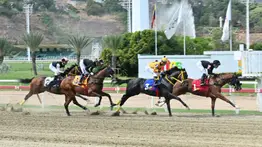 La Rinconada: Favoritos de la cátedra para el 5y6 Nacional de la reunión N°14