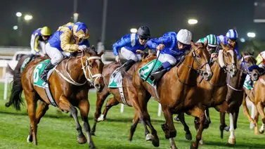 Sorteo definido para la Dubai World Cup Sorteo definido para la Dubai World Cup
