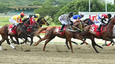 ¡No busques más! Entérate del dato que más suena en la tercera válida para el 5y6 dominical ¡No busques más! Entérate del dato que más suena en la tercera válida para el 5y6 dominical