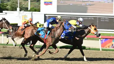 Sorpresa a la vista en las carreras no válidas de la R14 tras un cómodo ejercicio en La Rinconada Sorpresa a la vista en las carreras no válidas de la R14 tras un cómodo ejercicio en La Rinconada