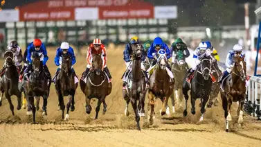 ¿Sabes quiénes integran el cuadro de honor de la Dubai World Cup? ¿Sabes quiénes integran el cuadro de honor de la Dubai World Cup?