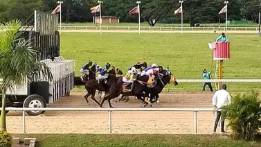 Datos de última hora para el Hipódromo Nacional de Valencia 28-3-2026 Datos de última hora para el Hipódromo Nacional de Valencia 28-3-2026