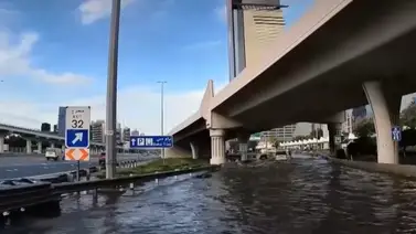 ¡Brillo, carreras y… ¿lluvia?! Todo lo que debes saber del clima para la Dubai World Cup ¡Brillo, carreras y… ¿lluvia?! Todo lo que debes saber del clima para la Dubai World Cup