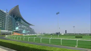 ¿Sabías que la Dubai Golden Shaheen G1 es la preferida por los profesionales venezolanos? ¿Sabías que la Dubai Golden Shaheen G1 es la preferida por los profesionales venezolanos?