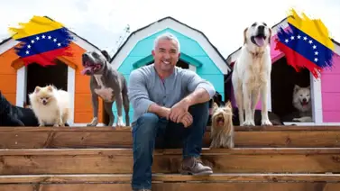 César Millán "El encantador de perros" llegará a Venezuela: Fechas y detalles César Millán "El encantador de perros" llegará a Venezuela: Fechas y detalles